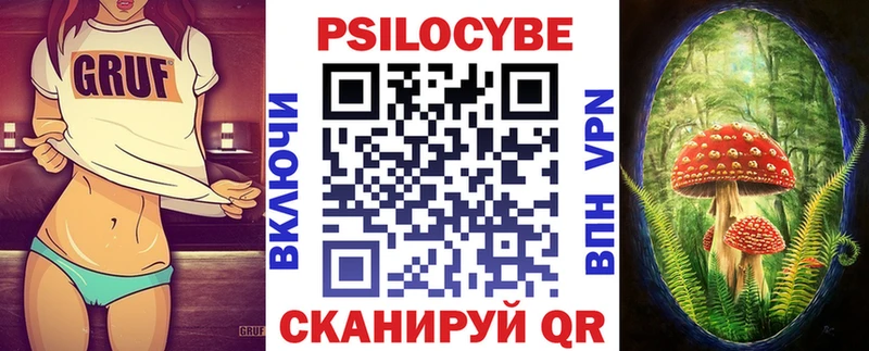 гидра рабочий сайт  наркотики  Дубна  Псилоцибиновые грибы Psilocybe 